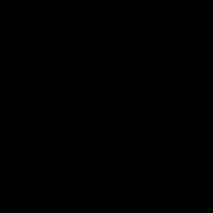 Meet your Posher, Augusto